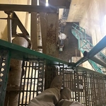 Gonzalez Demolition LLC