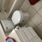 New cartridge and toilet