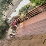 Chingles and deck