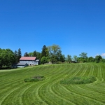 Lawn cut