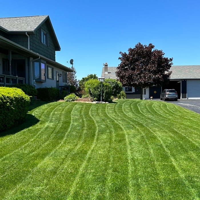 Lawn cut