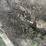 Replacement of the Valve