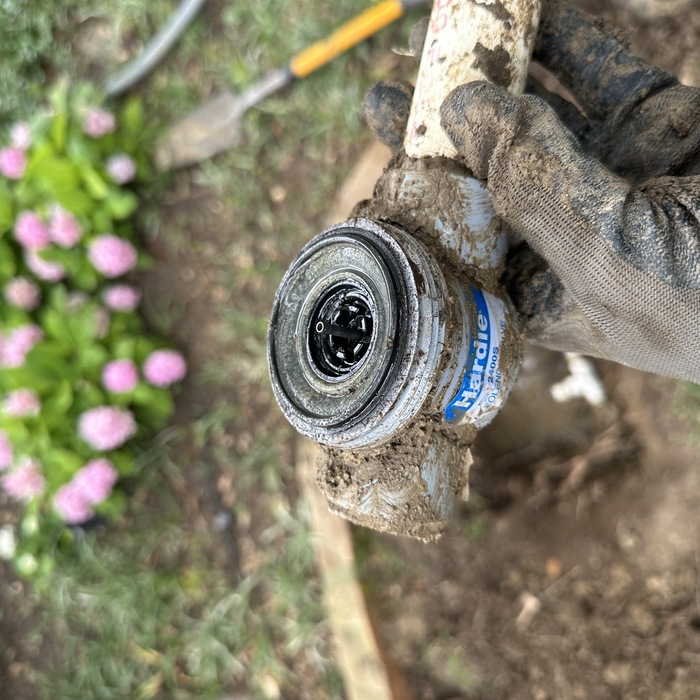 The Old Valve