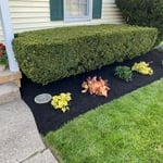 Mulch and bush trimming