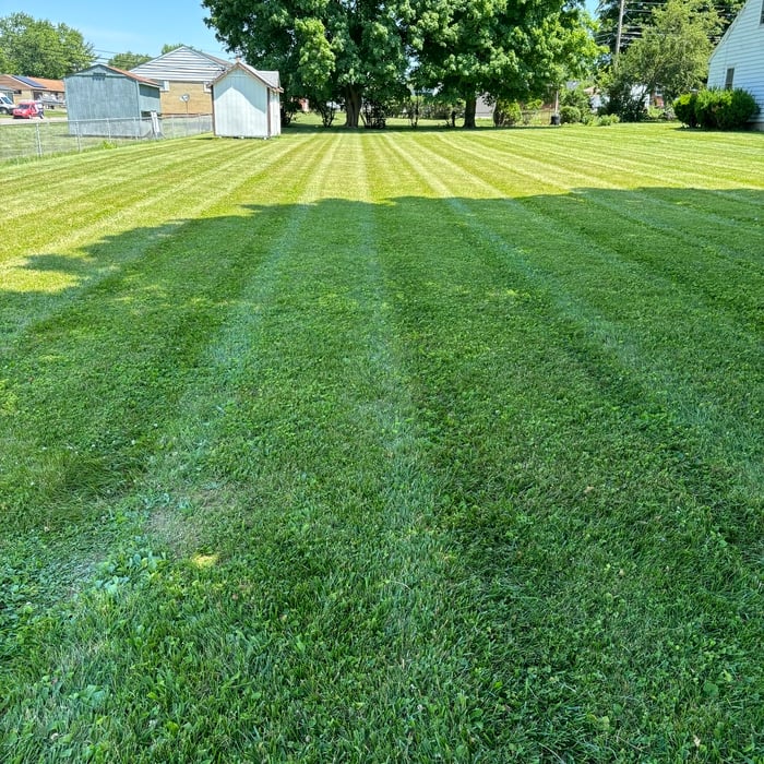 Mowing