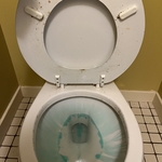Before-toilet