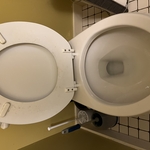 After-toilet