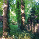 Tree Service
