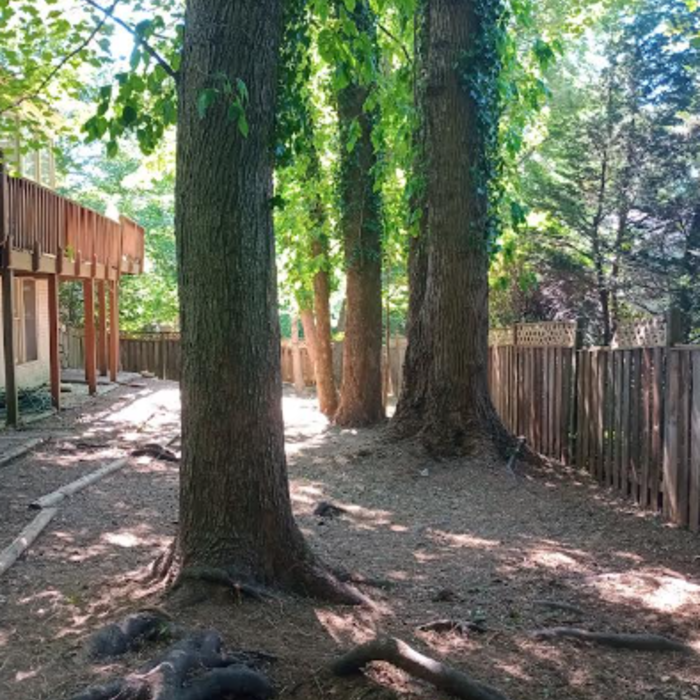 Tree Service