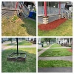Weed/Mulch/Demo/Sod
