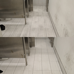 General Cleaning