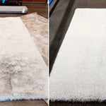Shag Rug