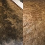 Dirty Carpet