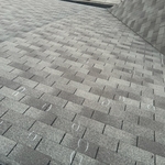 Shingle