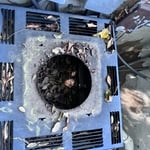 Rat Living in top of heater