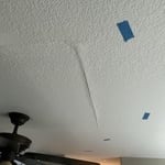 Ceiling Damage