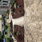 Custom Landscape