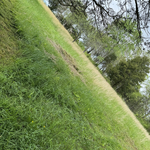 Field Transformation