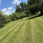 Field Transformation