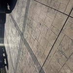 New Drive way