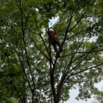 Climb