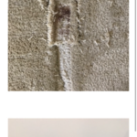 torn carpet professionally repaired