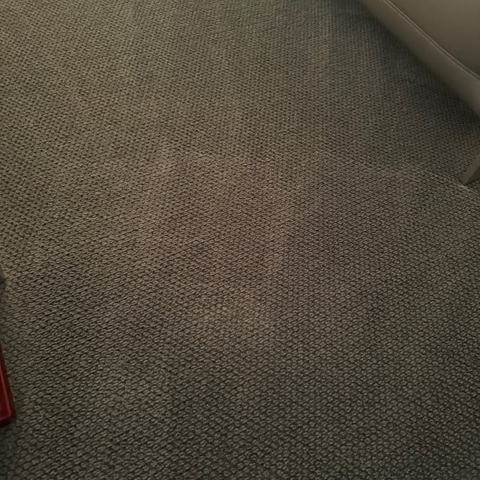 clean den