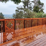 Single Deck