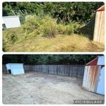 What I Can Do For You