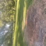 Stump going job