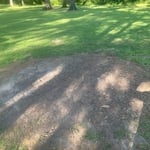 Stump grinding job