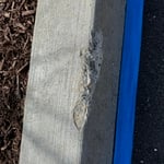 Curb Repair