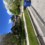 Lawn Care