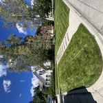 Lawn Care