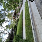 Lawn Care