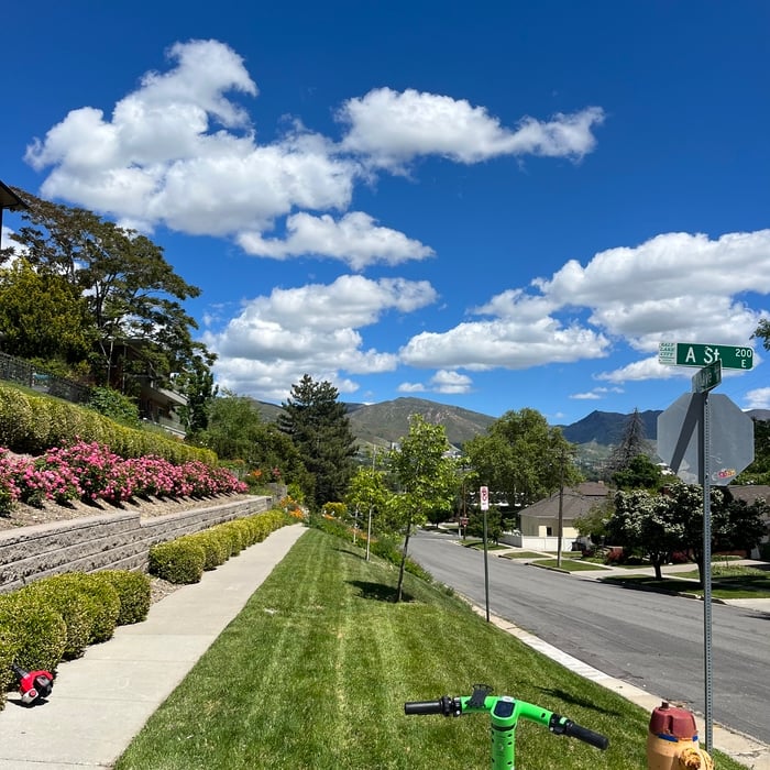 Lawn Care