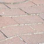 Rotted Sheeting , Sagging