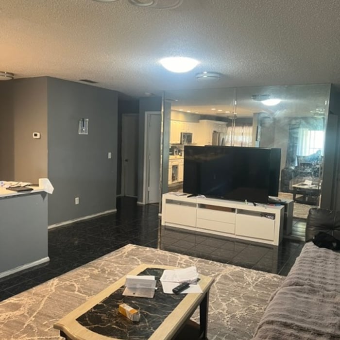 Living Room Remodel