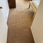 Standard Carpet Cleaning