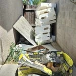 Before Side Yard Trash Removal