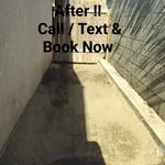 After Side Yard Trash Removal