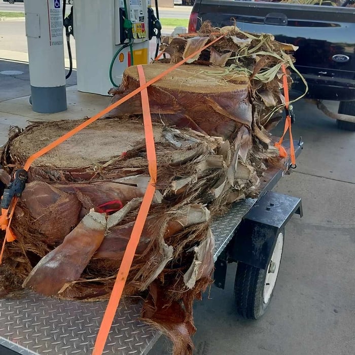 After loaded up!