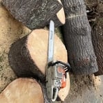 Tree removal photos