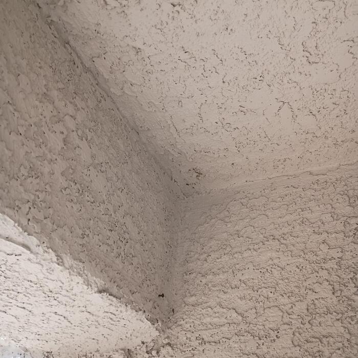 Wasp removal