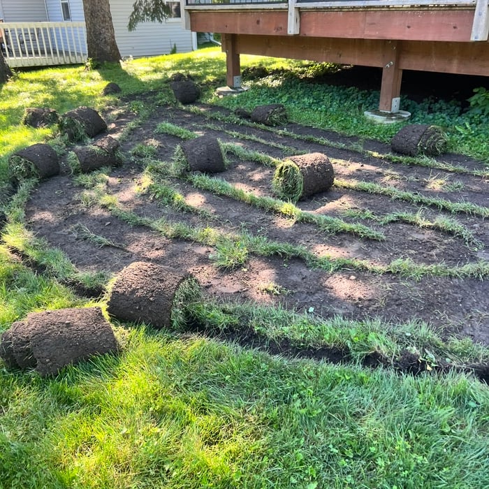 Sod Removal