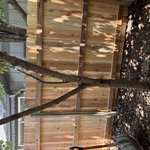 Fence