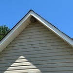 Hornets Nest Removal