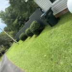 Hedge Trimming Projects