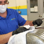 Contents restoration and cleaning services are the