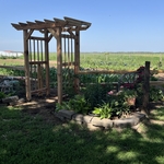 Arbor